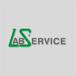 LAB SERVICE, Pollena Trocchia orari di apertura
