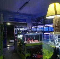 Waterworld/ Mondo Sommerso, Rende orari di apertura