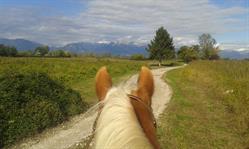 JL RANCH a.s.d., Sequals orari di apertura