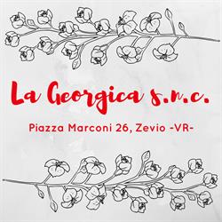 La Georgica snc, Zevio orari di apertura