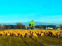 Agri-Cer Barin Srl - Essiccazione - Stoccaggio Cereali, Cittadella orari di apertura