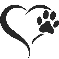 Impronte sul Cuore, Manziana orari di apertura