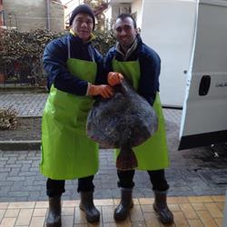 Pescheria da Marco - Campagna Lupia, orari di apertura