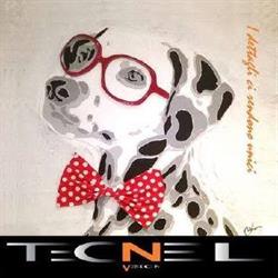 Tecnel Ottica Como, orari di apertura
