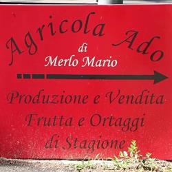 Agricola Ado, Altivole orari di apertura