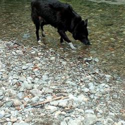 Non Solo Pesca, Varallo orari di apertura