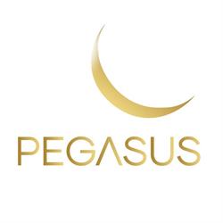 Pegasus Srl, Roma orari di apertura