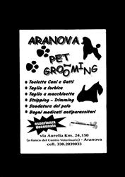 aranova pet grooming, Fiumicino orari di apertura