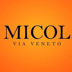 MICOL Via Veneto, Campobasso orari di apertura