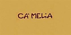Ca'melia, Cavi orari di apertura