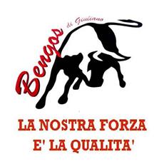 Bengos Traslochi Trasporti & Facchinaggio, Borgaro Torinese orari di apertura