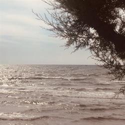 Lido La Fenice, Bacoli orari di apertura