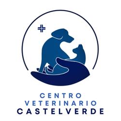Centro Veterinario Castelverde, Roma orari di apertura
