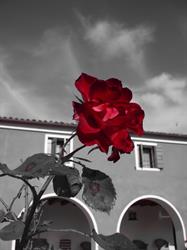 Agriturismo Le Rondini - Alloggi, Limena orari di apertura