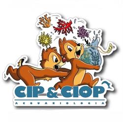 Cip&Ciop Acquariologia Napoli, orari di apertura