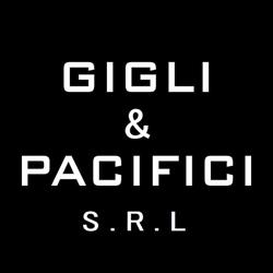 FAAC - Gigli & Pacifici Srl, Terni orari di apertura