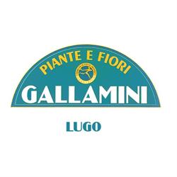 Gallamini - Piante e Fiori, Lugo orari di apertura