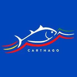 Carthago Srl, Calvignasco orari di apertura