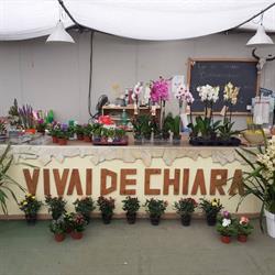 Vivaio De Chiara, Acerra orari di apertura