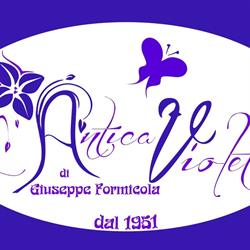 L'antica Violetta Di Formicola, Ercolano orari di apertura