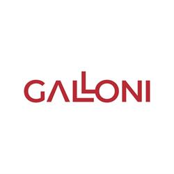 ASEG GALLONI Srl, San Colombano al Lambro orari di apertura
