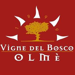 Azienda Agricola Vigne Del Bosco Olmè, Ceggia orari di apertura
