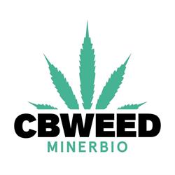 CBWEED shop Minerbio - H24, orari di apertura