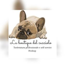 La Boutique del Cucciolo - Toelettatura professionale cani, Potenza orari di apertura