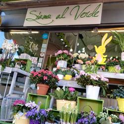 siamo al verde di fontanella anna, Gallarate orari di apertura