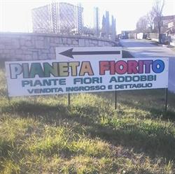 Pianeta Fiorito, Campobasso orari di apertura
