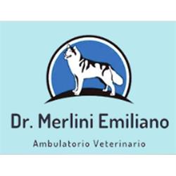 Ambulatorio Veterinario Dr. Merlini Emiliano, Ancona orari di apertura