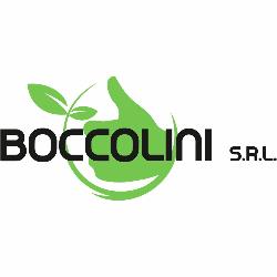 Boccolini Srl, Terni orari di apertura