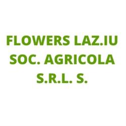Vivaio Flowers Laz.Iu Società Agricola, Cori orari di apertura