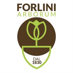 Vivaio Forlini, Alessandria orari di apertura