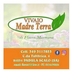 Madre Terra, Buonabitacolo orari di apertura