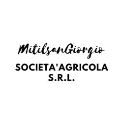 Mitilsangiorgio Societa' Agricola S.r.l., Porto San Giorgio orari di apertura