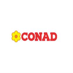 Conad Alery Alery S.r.l., Curtatone orari di apertura