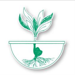 Societa ' Agricola Semplice Paolini, Capannori orari di apertura