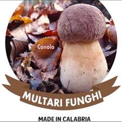 Multari Funghi, Siderno orari di apertura