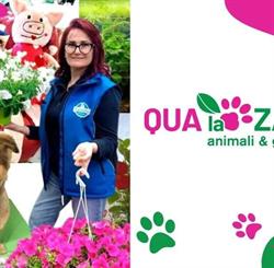 Qua La Zampa negozio per animali Rimini, orari di apertura