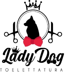 Toelettatura Lady Dog, San Bonifacio orari di apertura