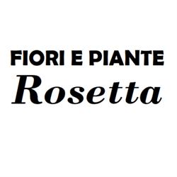 Fiori e Piante Rosetta, Ottati orari di apertura