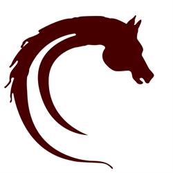 Cavallo Natura Grosseto, Marina Di Grosseto - Orari di apertura