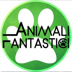 Animali Fantastici, Gioia del Colle orari di apertura