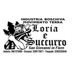 Industria Boschiva Movimento Terra Loria & Succurro, San Giovanni in Fiore orari di apertura
