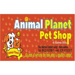 Animal Planet, Marcianise orari di apertura