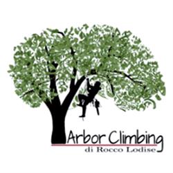 Arbor Climbing Giardinaggio-Potatura e Abbattimenti Controllati in Tree Climbing, Carife orari di apertura