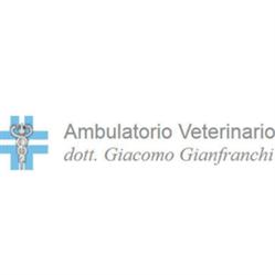 Veterinario Gianfranchi Dr. Giacomo, Aulla orari di apertura