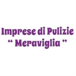 Impresa di Pulizie Meraviglia, Lugo orari di apertura