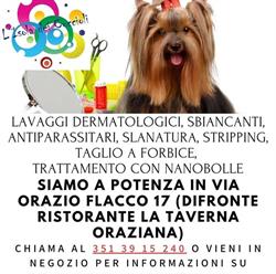 L' Isola dei Cuccioli Potenza, Porta Salza - Orari di apertura
